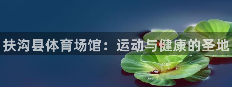 意昂体育3平台假的吗是真的吗