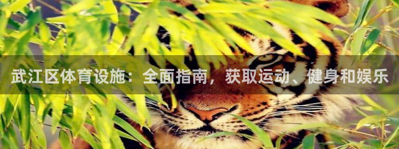 意昂3娱乐首页网站大全