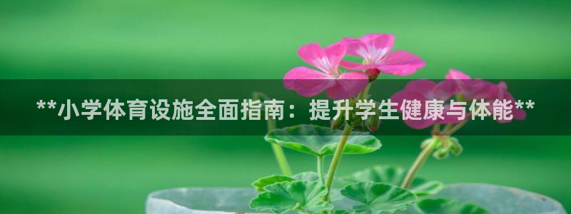 意昂3娱乐首页官网下载：**小学体育设施全面指南：提