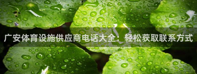 意昂体育3招商电话号码查询：广安体育设施供应商电话大