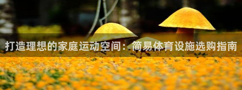 意昂体育3平台注册要钱吗是真的吗：打造理想的家庭运动
