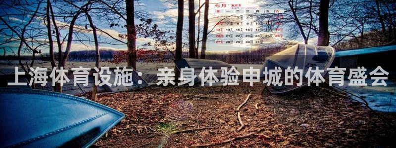 意昂体育3平台注册要钱吗：上海体育设施：亲身体验申城