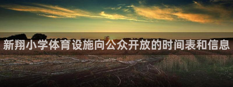 意昂体育3平台假的吗是真的吗：新翔小学体育设施向公众