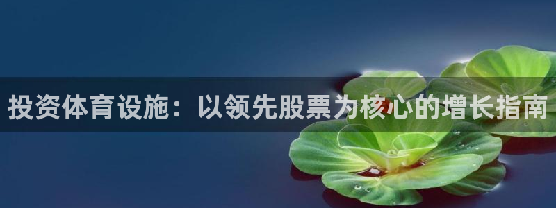 意昂体育3平台：投资体育设施：以领先股票为核心的增长