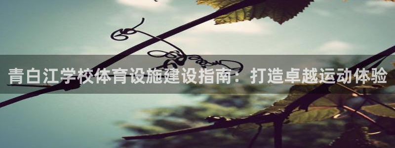 意昂体育3平台注册要钱吗安全吗：青白江学校体育设施建