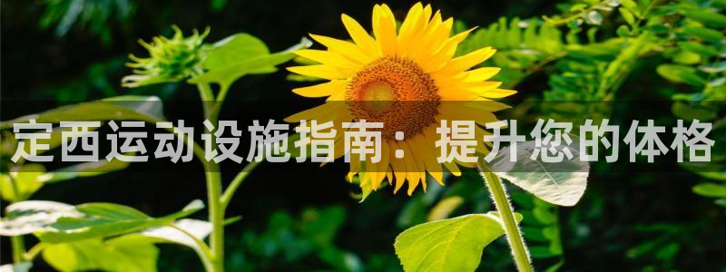 意昂3代理