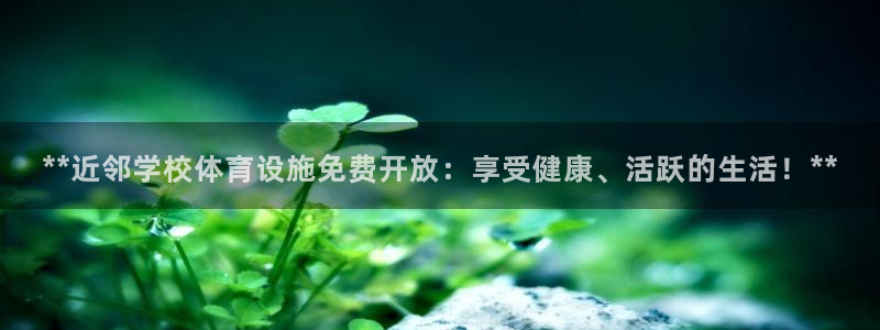 意昂体育3平台假的吗是真的吗吗：**近邻学校体育设施