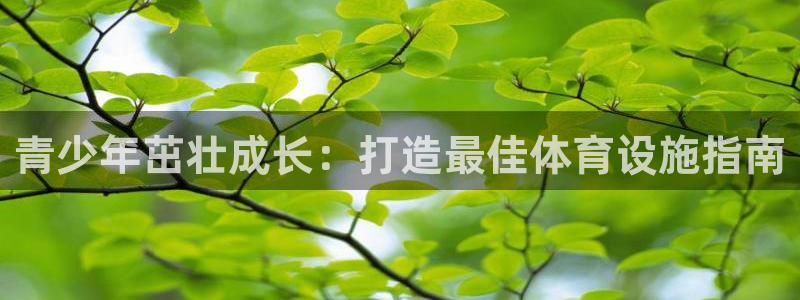 意昂3集团logo：青少年茁壮成长：打造最佳体育设施