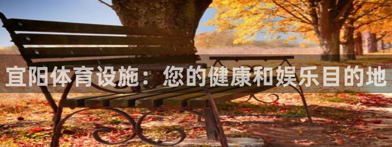 意昂体育3娱乐：宜阳体育设施：您的健康和娱乐目的地