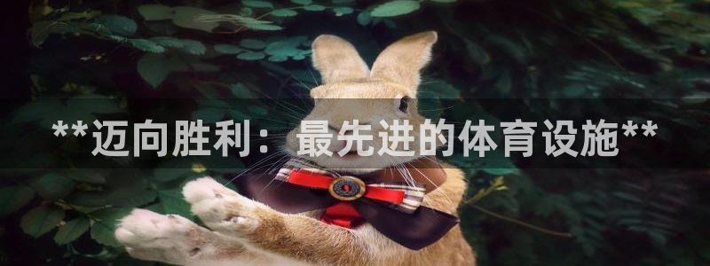意昂体育3招商电话号码是多少：**迈向胜利：最先进的