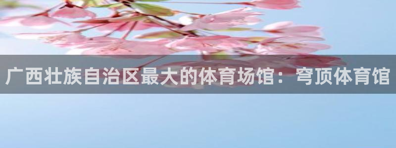 意昂体育3平台注册流程图：广西壮族自治区最大的体育场