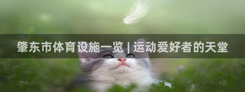 意昂体育3平台：肇东市体育设施一览 | 运动爱好者的