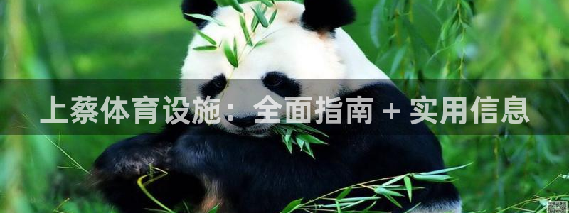 意昂集团官网：上蔡体育设施：全面指南 + 实用信息