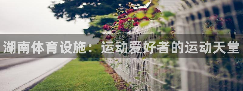 意昂3娱乐下载：湖南体育设施：运动爱好者的运动天堂