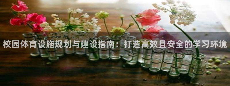 意昂体育3是干嘛的公司：校园体育设施规划与建设指南：
