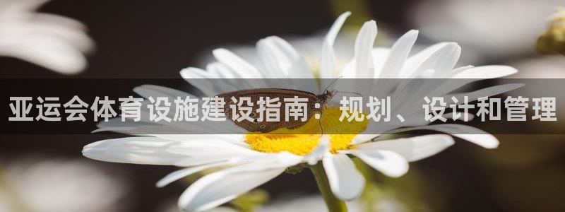 意昂3官网：亚运会体育设施建设指南：规划、设计和管理
