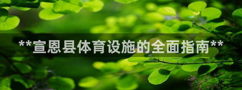 海南意昂体育3发展怎么样：**宣恩县体育设施的全面指