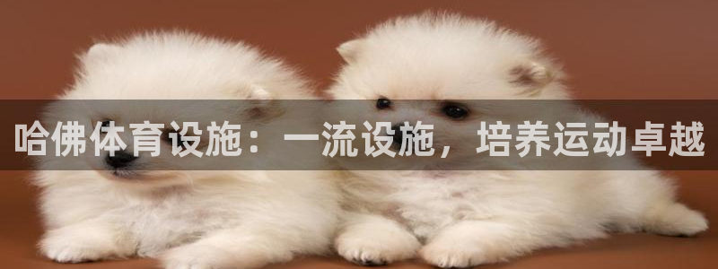 意昂3代理：哈佛体育设施：一流设施，培养运动卓越