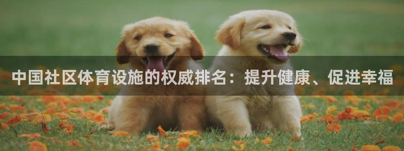 意昂3集团E.ON：中国社区体育设施的权威排名：提升