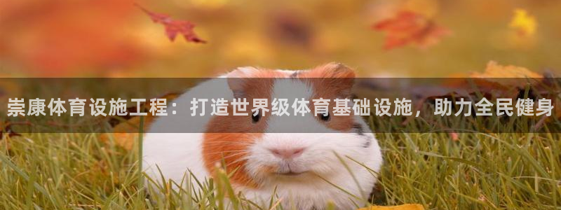 意昂体育3平台是正规平台吗知乎：崇康体育设施工程：打
