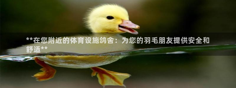 意昂体育3平台注册：**在您附近的体育设施鸽舍：为您