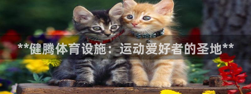 意昂体育3平台注册：**健腾体育设施：运动爱好者的圣
