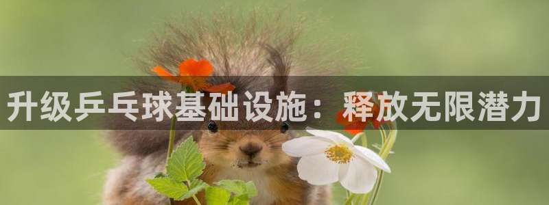 意昂体育3招商电话：升级乒乓球基础设施：释放无限潜力