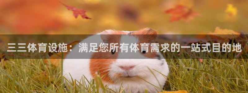 意昂体育3招商电话：三三体育设施：满足您所有体育需求