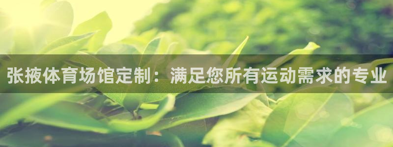 意昂3集团logo：张掖体育场馆定制：满足您所有运动
