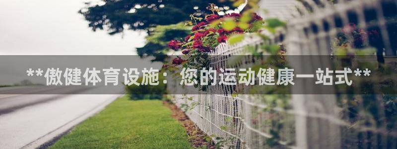 意昂3科技：**傲健体育设施：您的运动健康一站式**