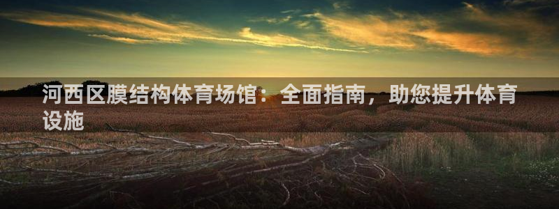 意昂3集团官网网址：河西区膜结构体育场馆：全面指南，