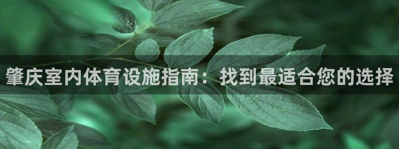 意昂3娱乐首页官网下载：肇庆室内体育设施指南：找到最