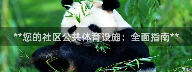 意昂3娱乐首页官网下载：**您的社区公共体育设施：全