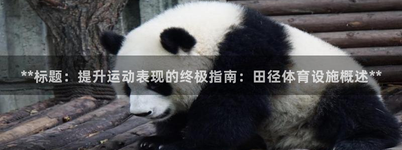 意昂体育3平台：**标题：提升运动表现的终极指南：田