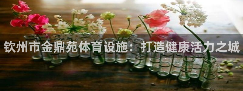 意昂3集团：钦州市金鼎苑体育设施：打造健康活力之城