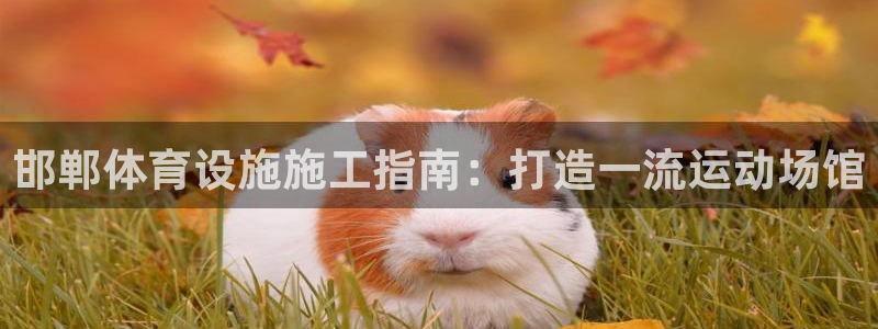 意昂体育3平台注册要钱吗安全吗：邯郸体育设施施工指南