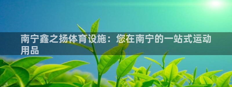 意昂3娱乐40996：南宁鑫之扬体育设施：您在南宁的