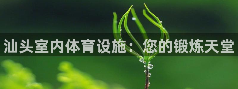 意昂体育3联系电话：汕头室内体育设施：您的锻炼天堂