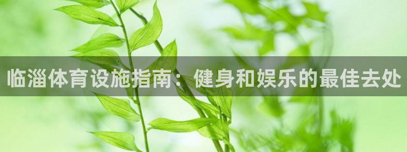 意昂体育3招商电话地址：临淄体育设施指南：健身和娱乐