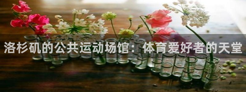 意昂3集团：洛杉矶的公共运动场馆：体育爱好者的天堂