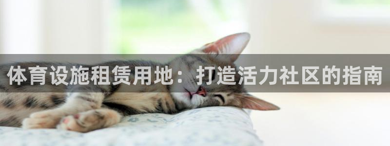意昂体育3平台：体育设施租赁用地：打造活力社区的指南