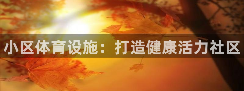 意昂3娱乐平台：小区体育设施：打造健康活力社区