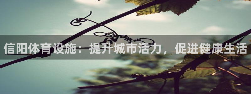 意昂3集团简介：信阳体育设施：提升城市活力，促进健康