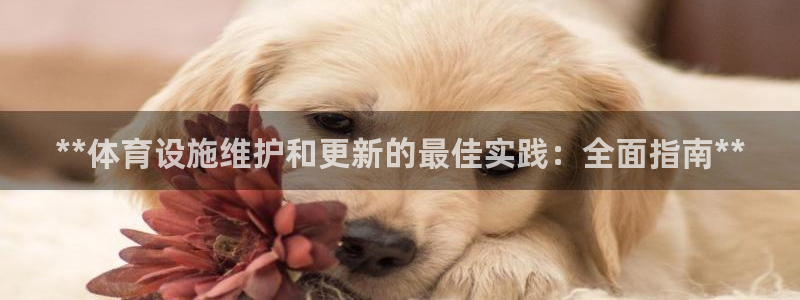 意昂体育3软件：**体育设施维护和更新的最佳实践：全