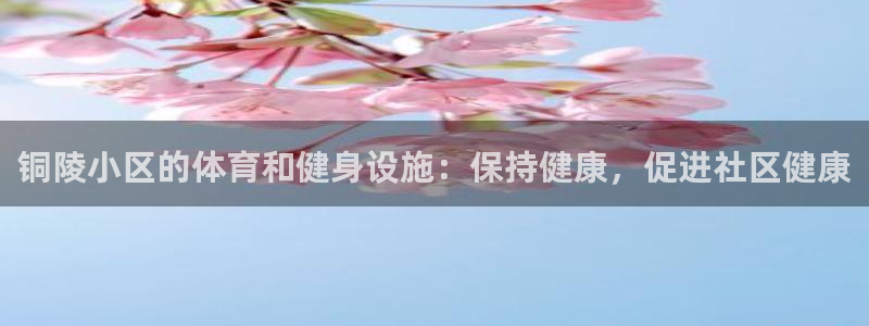 意昂体育3平台：铜陵小区的体育和健身设施：保持健康，