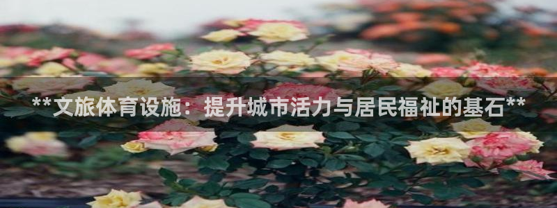 意昂3科技：**文旅体育设施：提升城市活力与居民福祉