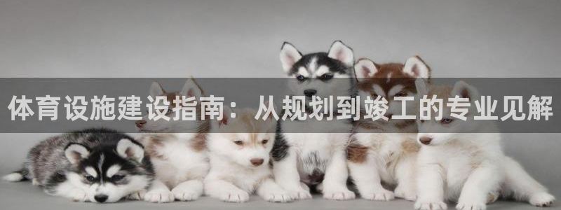 意昂体育3平台注册流程视频：体育设施建设指南：从规划