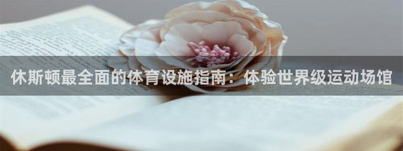 意昂体育3平台注册流程图：休斯顿最全面的体育设施指南