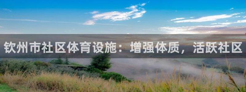 意昂3神州：钦州市社区体育设施：增强体质，活跃社区