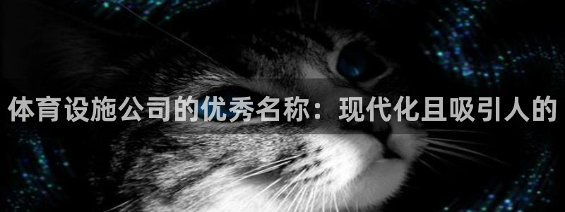 海南意昂体育3：体育设施公司的优秀名称：现代化且吸引